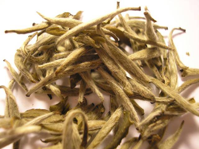 Té blanco